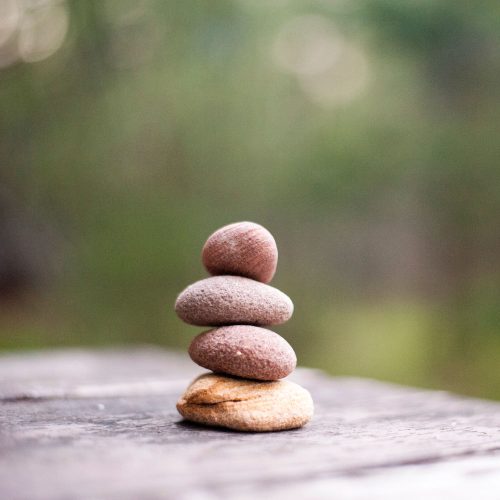 pexels-nicollazzi-xiong-668353